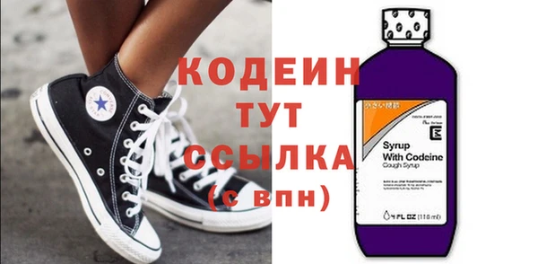 молекула духа Няндома