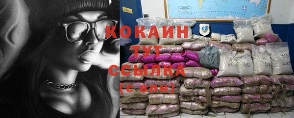 спайс Арсеньев