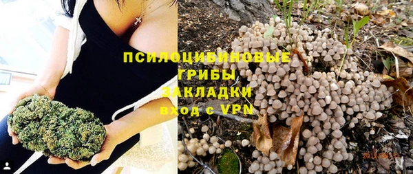 спайс Арсеньев