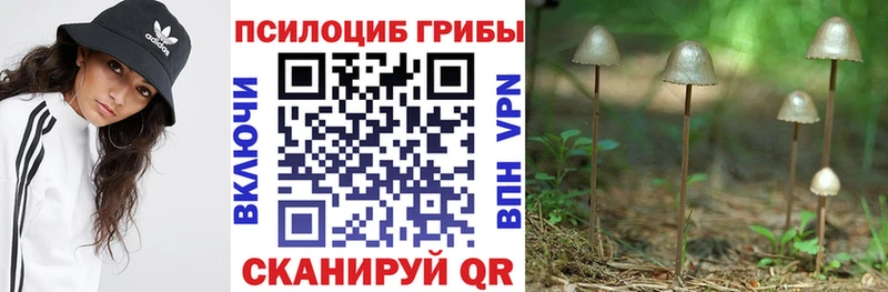 закладки  OMG   Галлюциногенные грибы Psilocybe  Рудня 